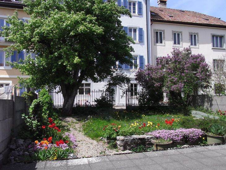 Le jardin fleuri devant l'immeuble