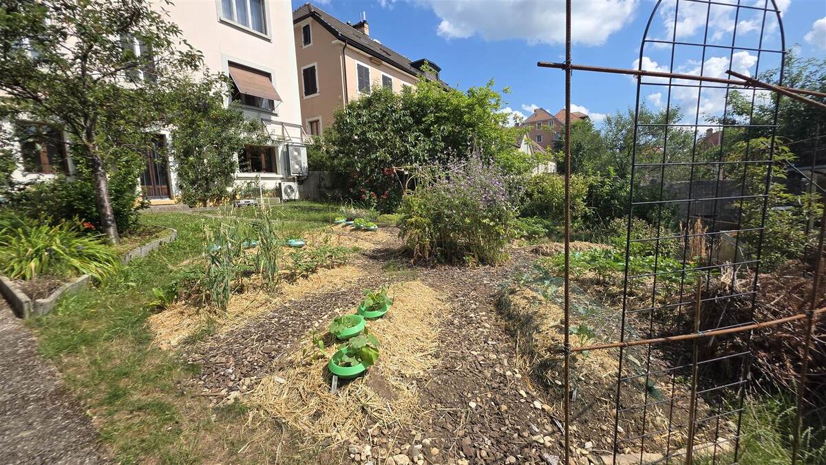 Le jardin privatif arboré